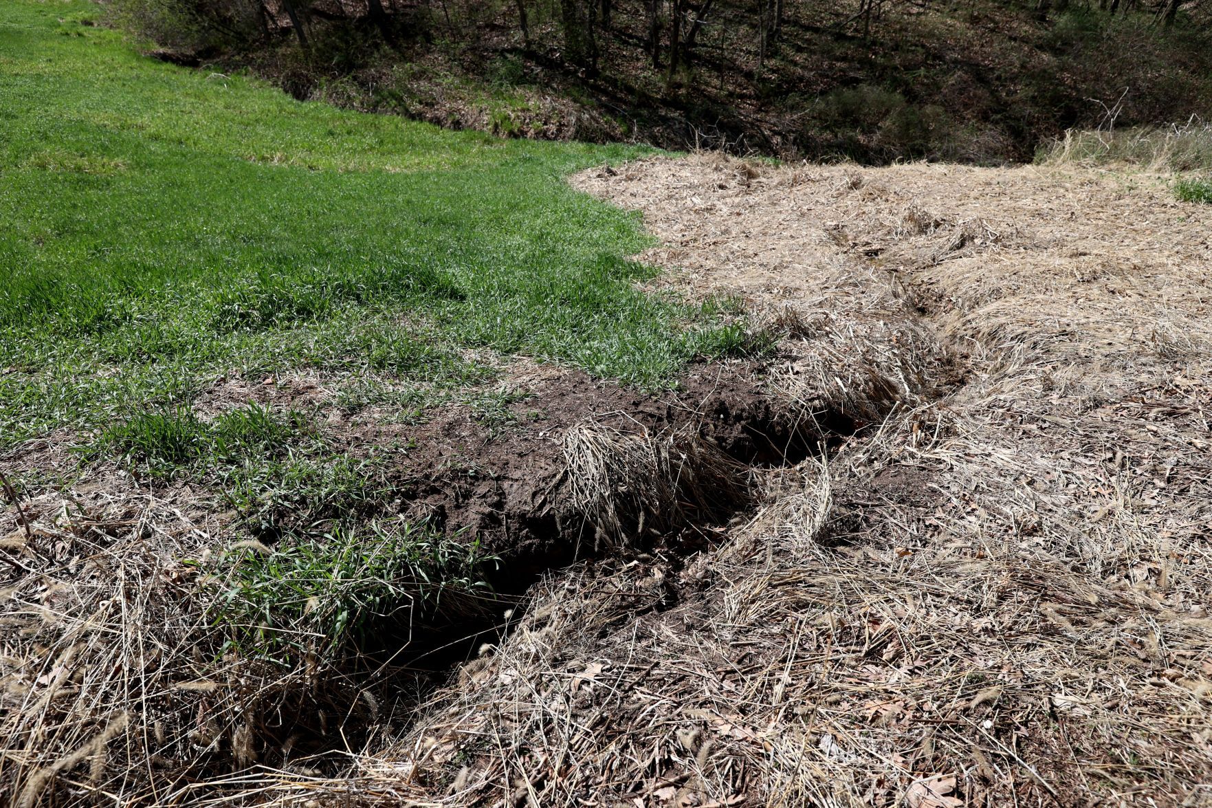 Waste lagoon breaches at Missouri hog farms
